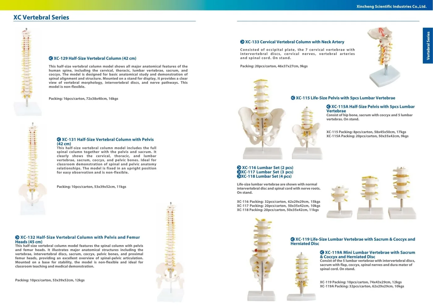 XINCH XC-118 LUMBAR SET (4 PCS)