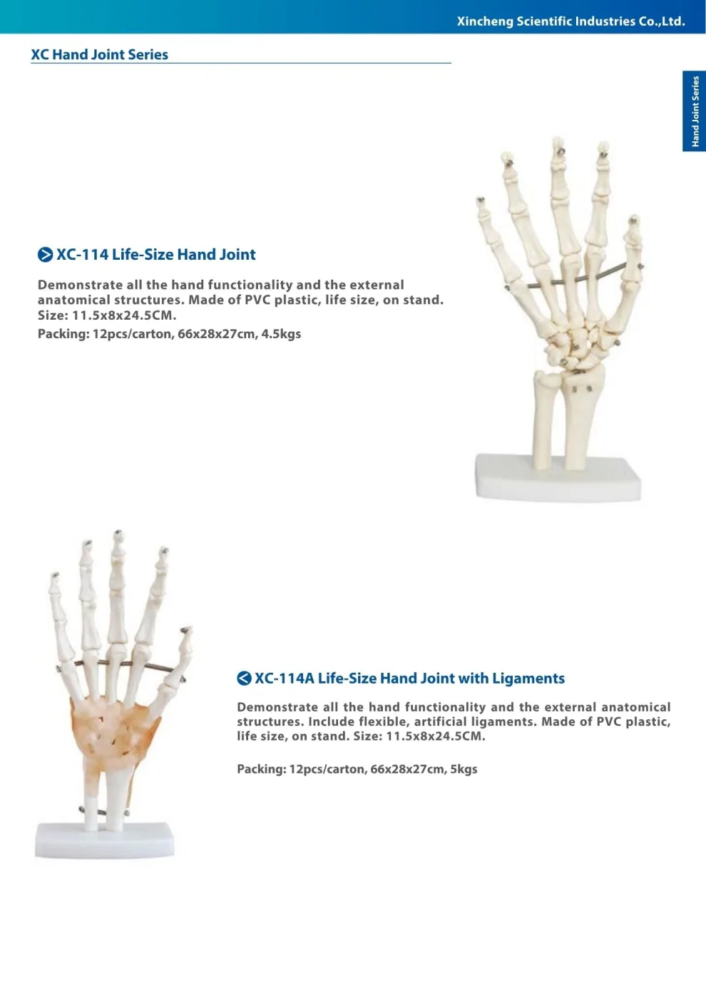 XINCH XC-114 LIFE-SIZE HAND JOINT